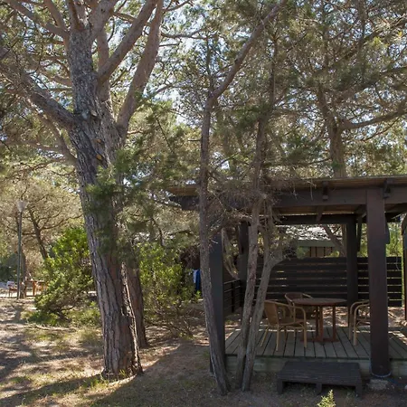 Hotel Hôtel&lodges Moby Dick Porto-Vecchio (Corsica)