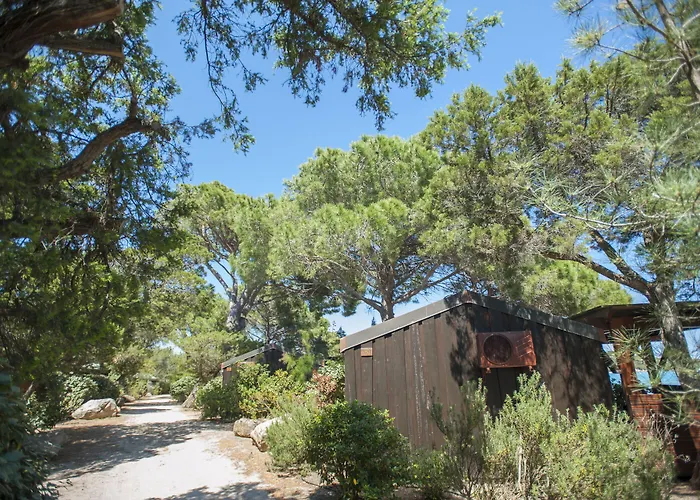 Hotel Hôtel&lodges Moby Dick Porto-Vecchio (Corsica)