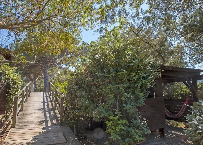 Hôtel&lodges Moby Dick Hotel Porto-Vecchio (Corsica)