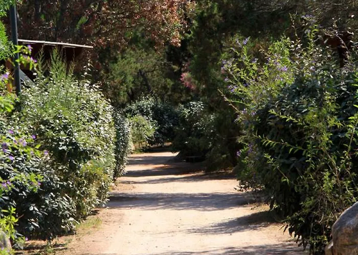 Hôtel&lodges Moby Dick Hotel 4*