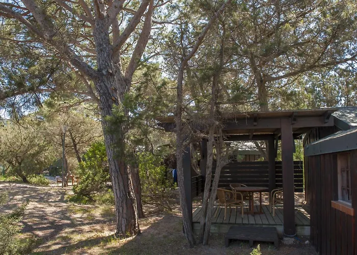 Hotel Hôtel&lodges Moby Dick Porto-Vecchio (Corsica)