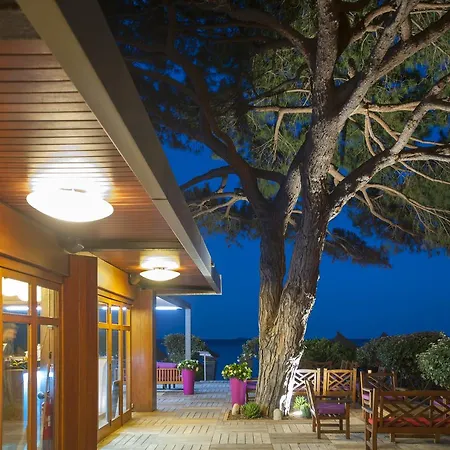Restaurant Moby Dick Hotel