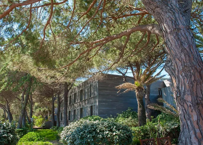 & Moby Dick Hotel 4*