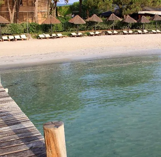 Hôtel&lodges Moby Dick Hotel