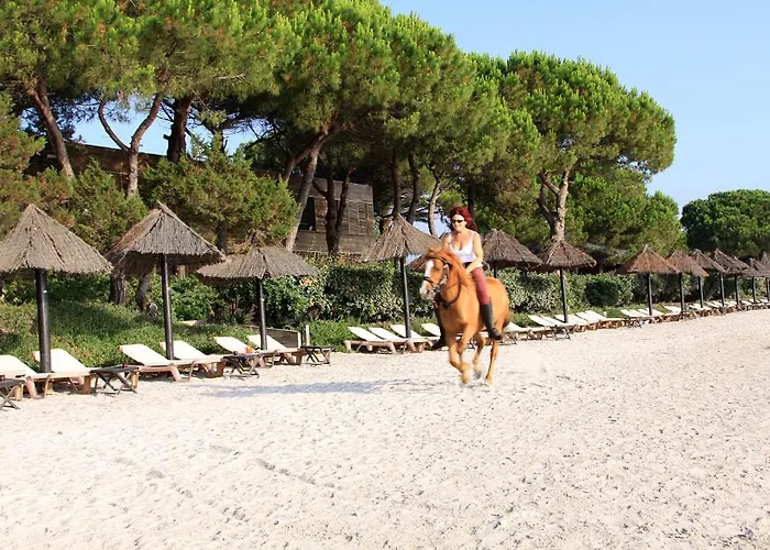 Hôtel&lodges Moby Dick